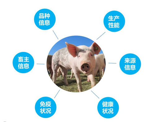 鐚槦.jpg 鐚槦.jpg